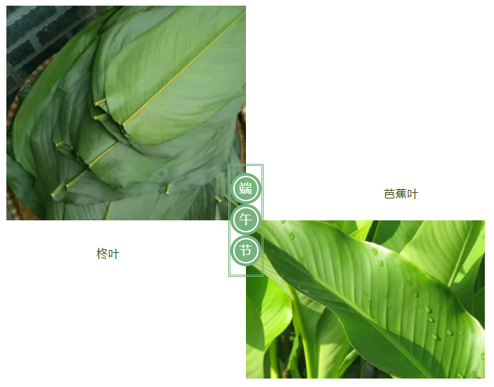 pa视讯医纺