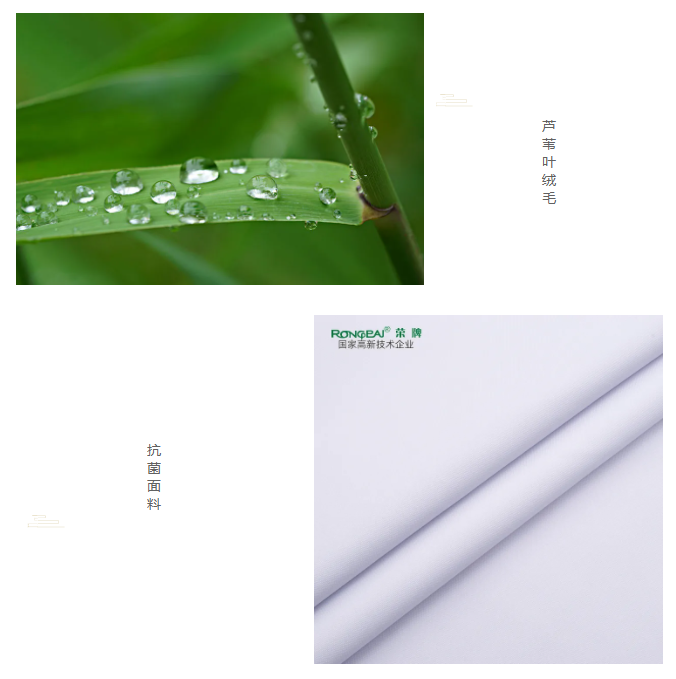pa视讯医纺